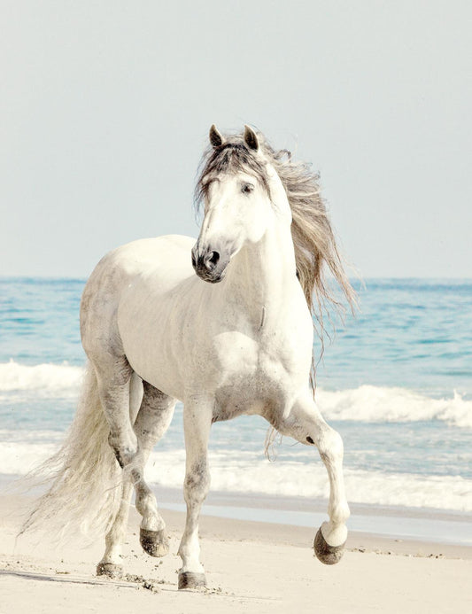 Small - Beach Run By Jan Walters - Light Blue