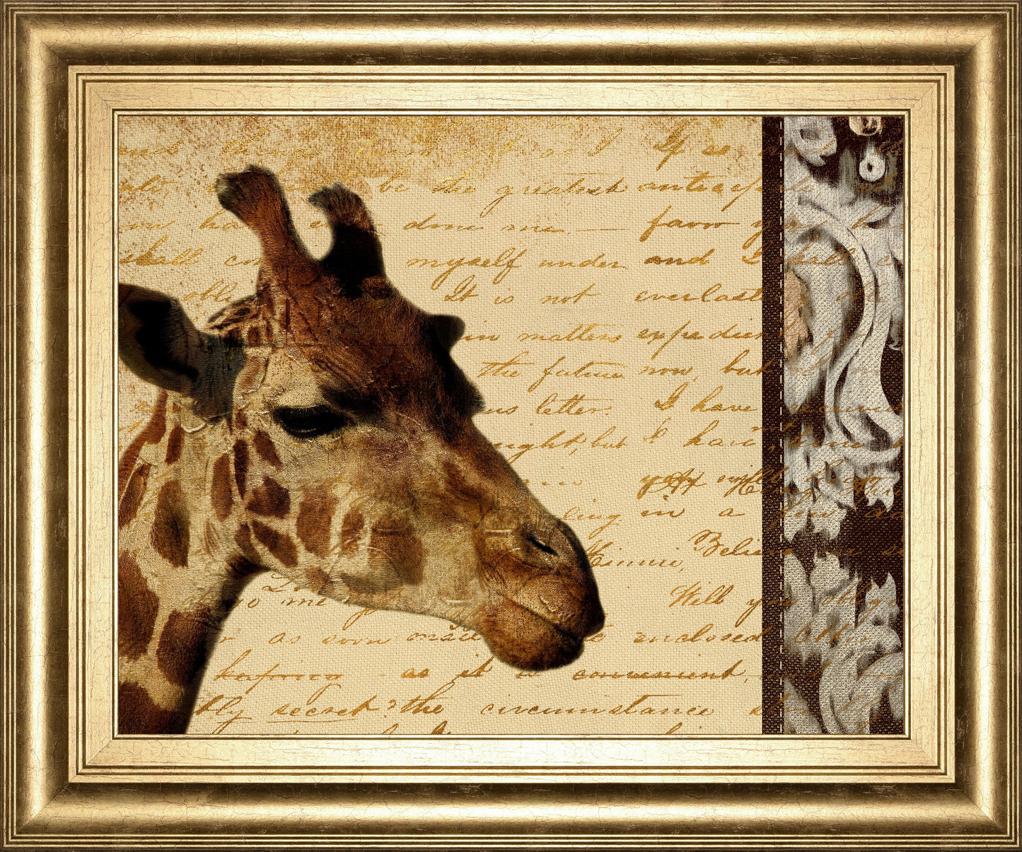 Madagascar Safari I By Patricia Pinto - Framed Print Wall Art - Beige