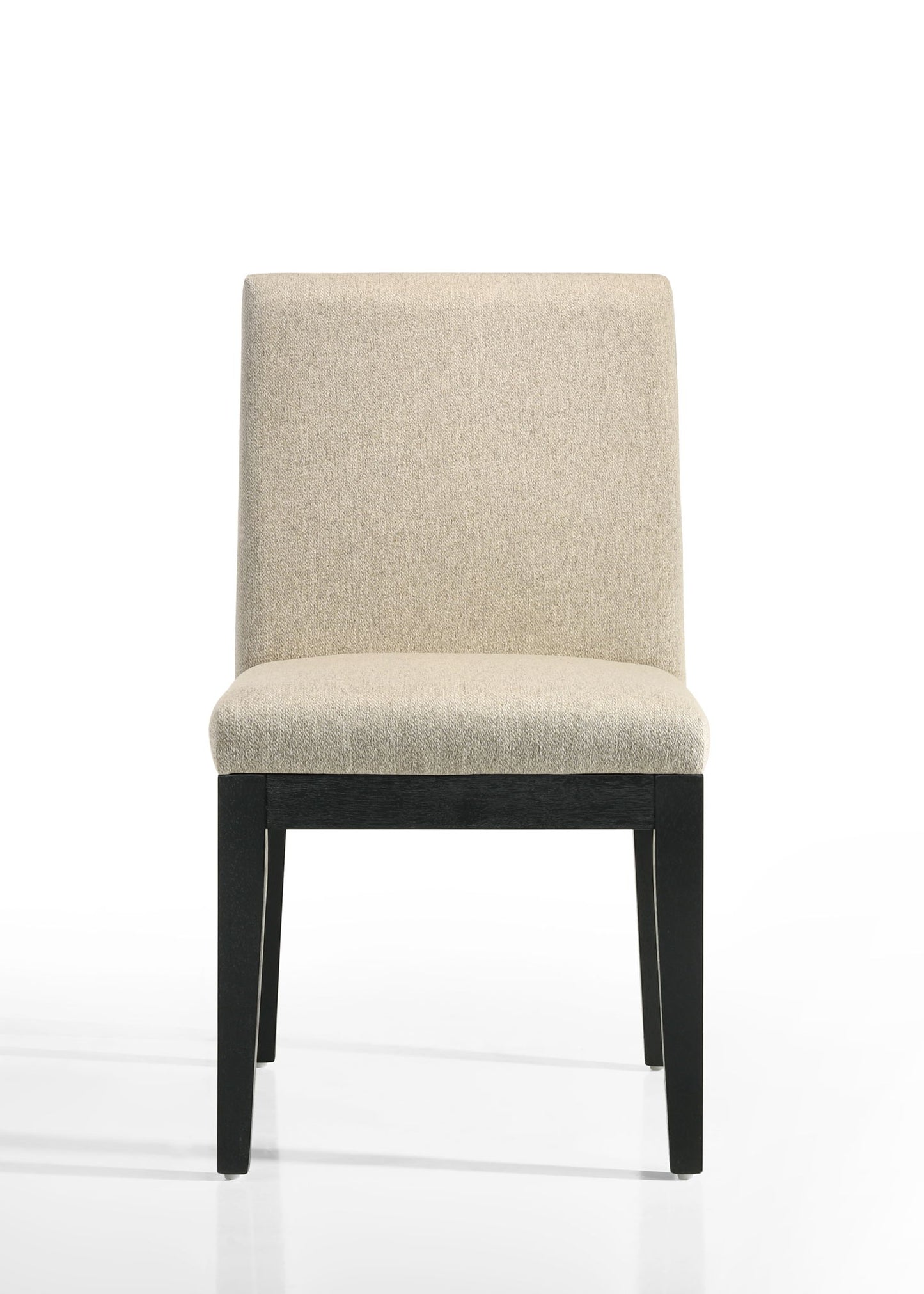 Jasper - Contemporary Fabric 19" Dining Chair (Set of 2) Lilola Home