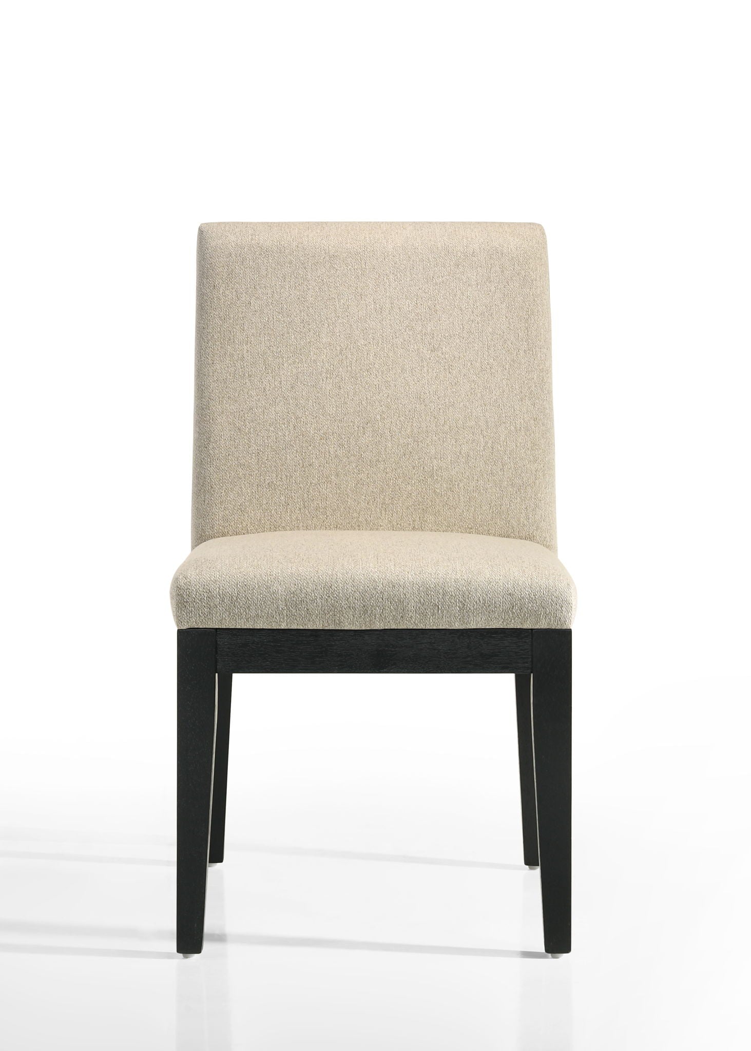 Jasper - Contemporary Fabric 19" Dining Chair (Set of 2) Lilola Home