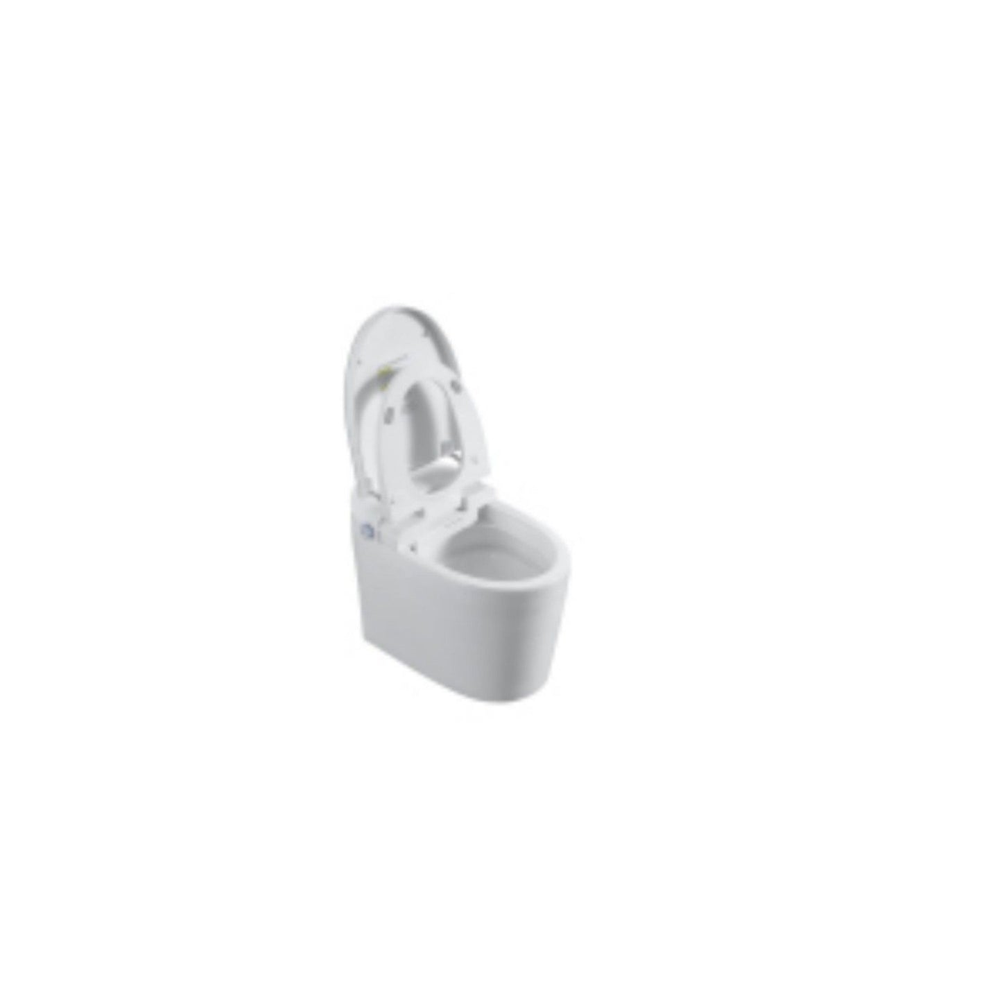 Tankless Smart Toilet With Bidet Built In, 1 Piece, Auto Flush, Auto Open / Close, Heated Seat, Bubble Wash, Warm Water And Dry, Adjustable Temp, Remote Control Side Know - White Daily Nest