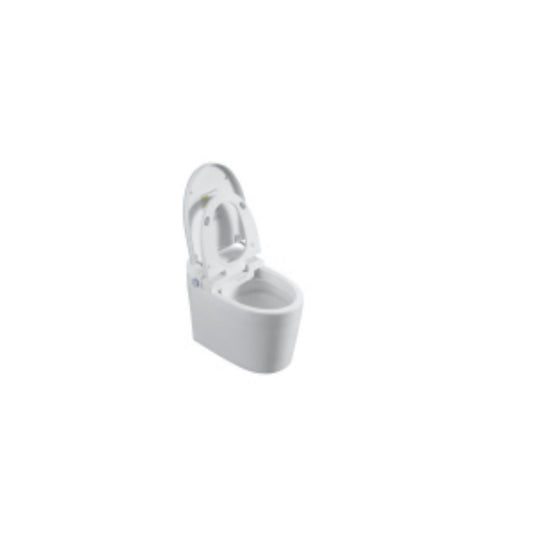 Tankless Smart Toilet With Bidet Built In, 1 Piece, Auto Flush, Auto Open / Close, Heated Seat, Bubble Wash, Warm Water And Dry, Adjustable Temp, Remote Control Side Know - White Daily Nest