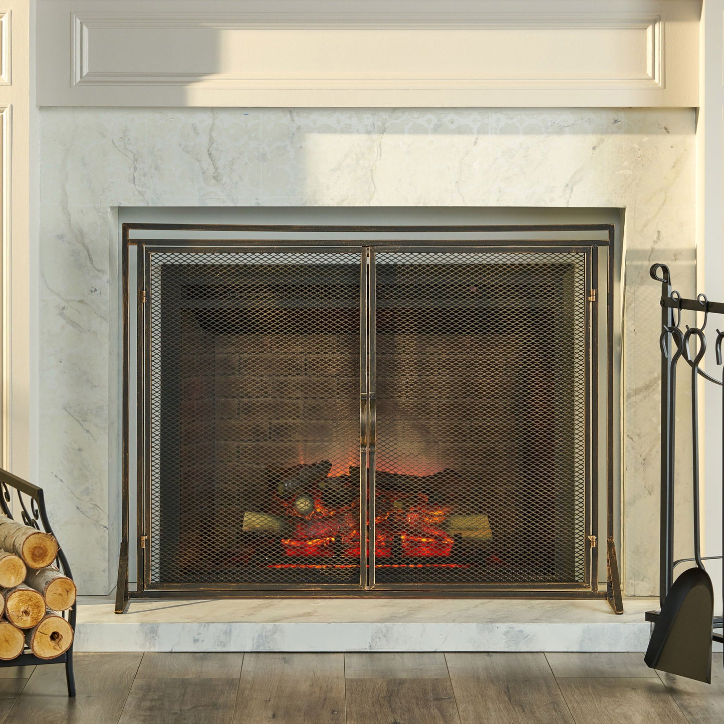 Samantha - Iron Fireplace Screen 2 Door Design Noble House