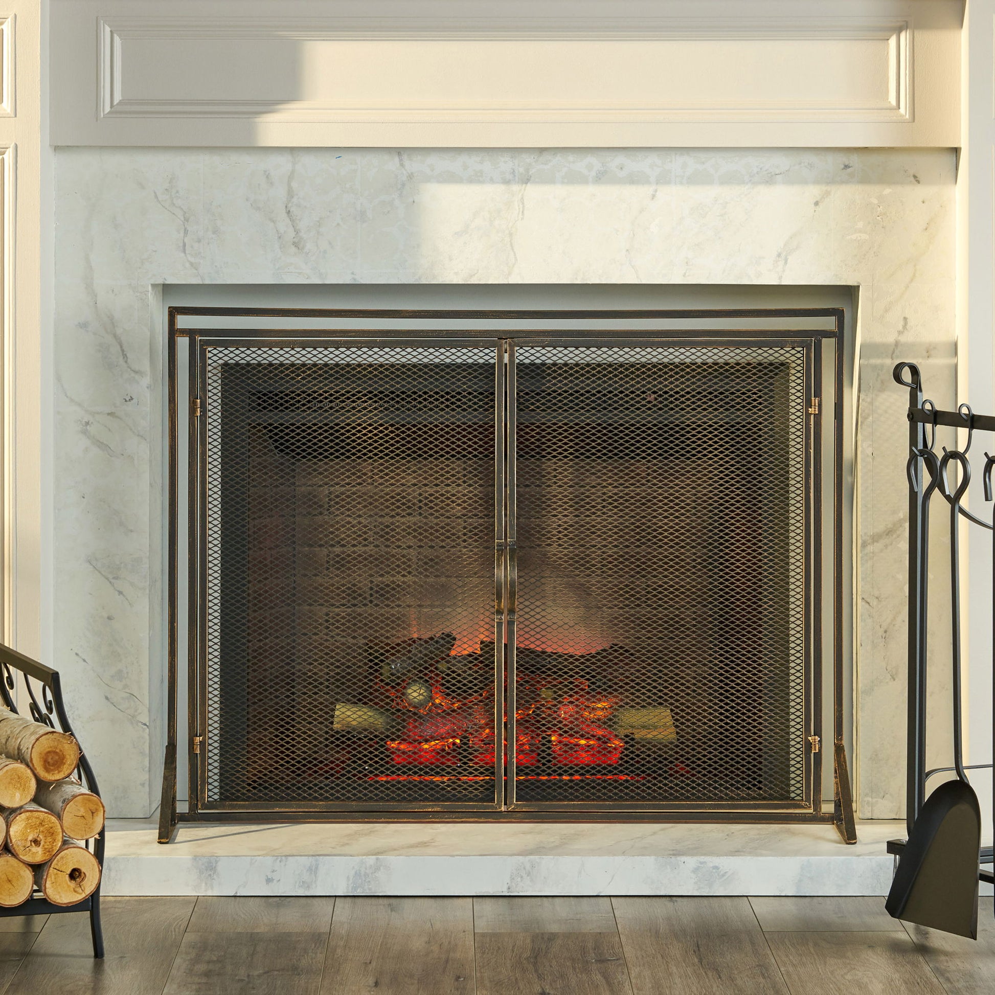 Samantha - Iron Fireplace Screen 2 Door Design Noble House