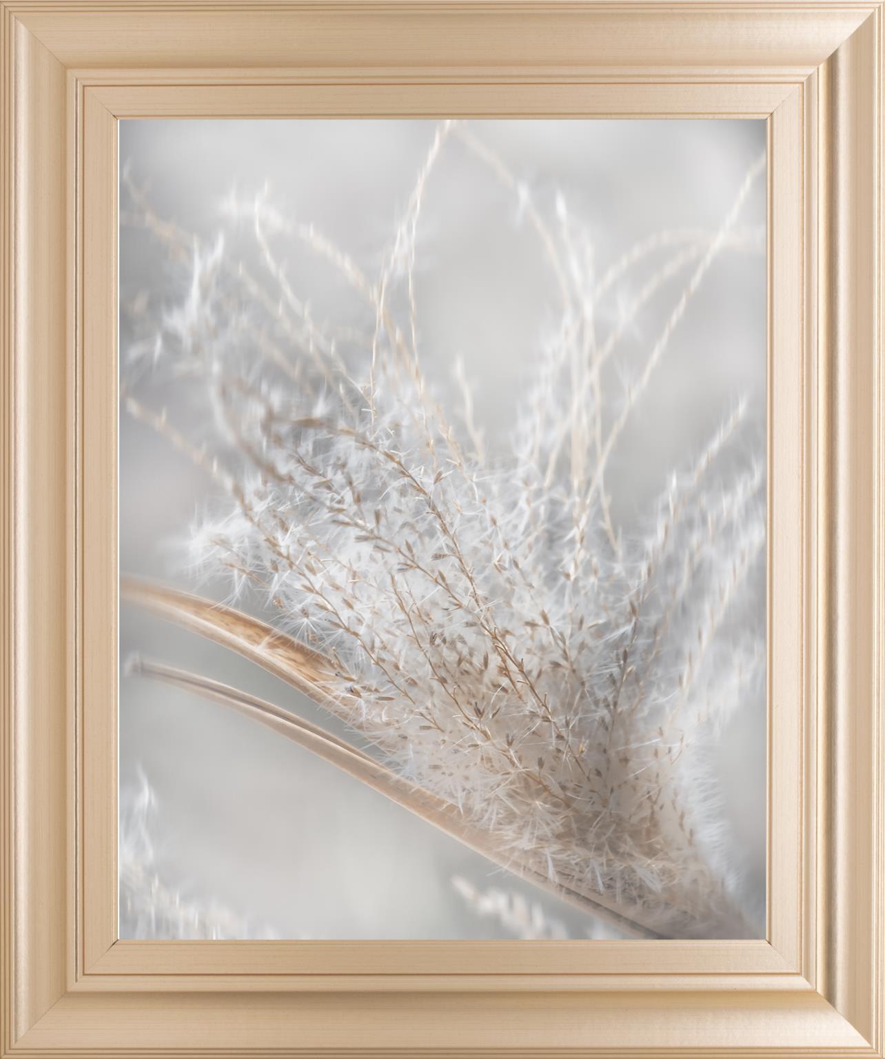 22x26 Summer Wisps II By Irene Weisz - Pearl Silver