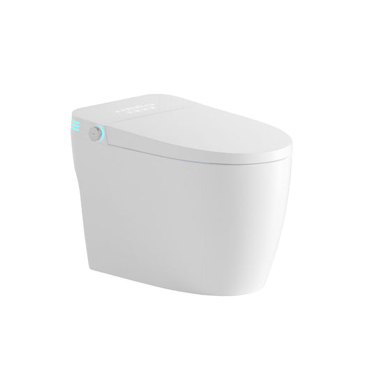 Tankless Smart Toilet With Bidet Built In, 1 Piece Bidet Toilet Seat, Auto Flush, Heated Seat, Warm Water And Dry, Adjustable Temp, Remote Control Side Know - White Daily Nest