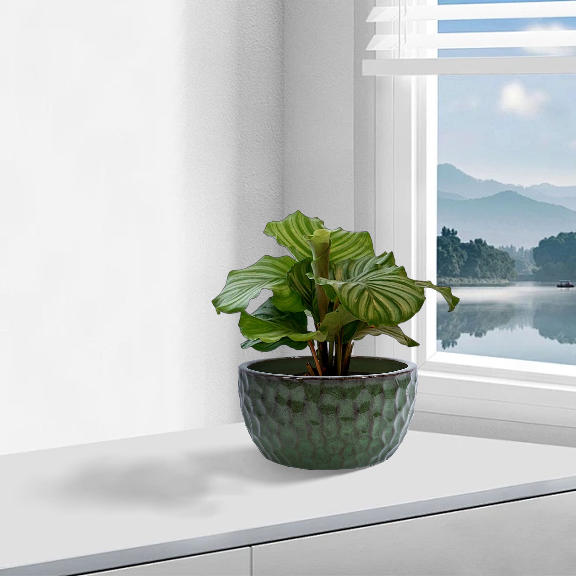 3 Pieces Ceramic Flowerpot Daily Nest