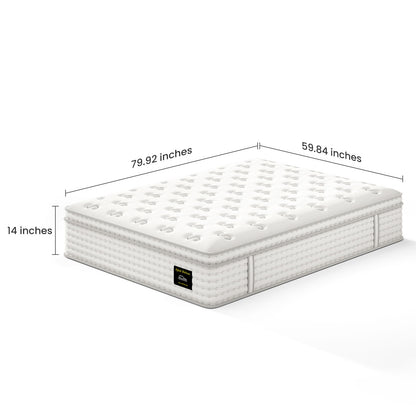 14'' Hybrid Mattress, Memory Foam & Pocket Springs For Pressure Relief Somnus Mattress USA