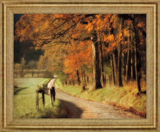 Amber Forest Pathway - 28" x 34" Framed Wall Art Classy Art