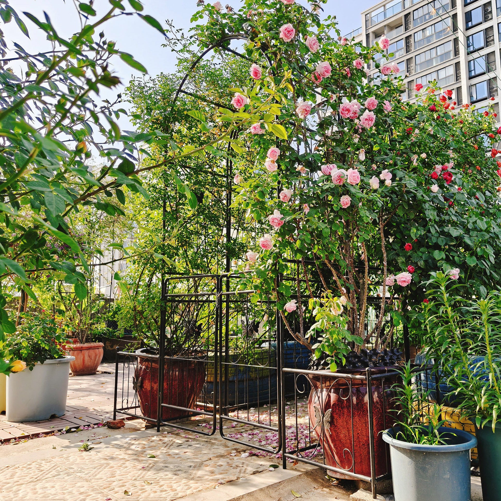 Metal Garden Arch With Gate High Climbing Plants Support Rose Arch Outdoor - Black Daily Nest