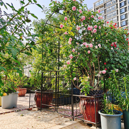 Metal Garden Arch With Gate High Climbing Plants Support Rose Arch Outdoor - Black Daily Nest