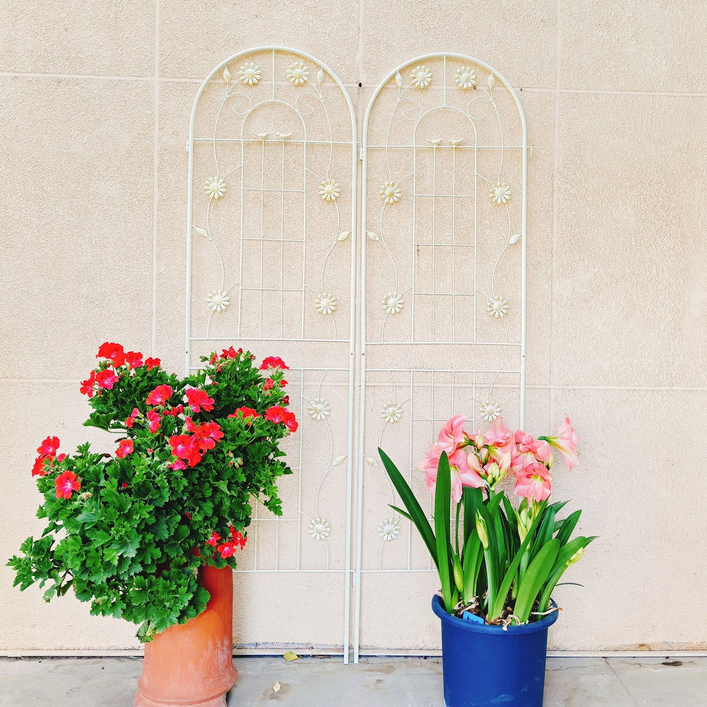 Metal Garden Trellis Rustproof Trellis For Climbing Plant Outdoor Flower Support Daily Nest