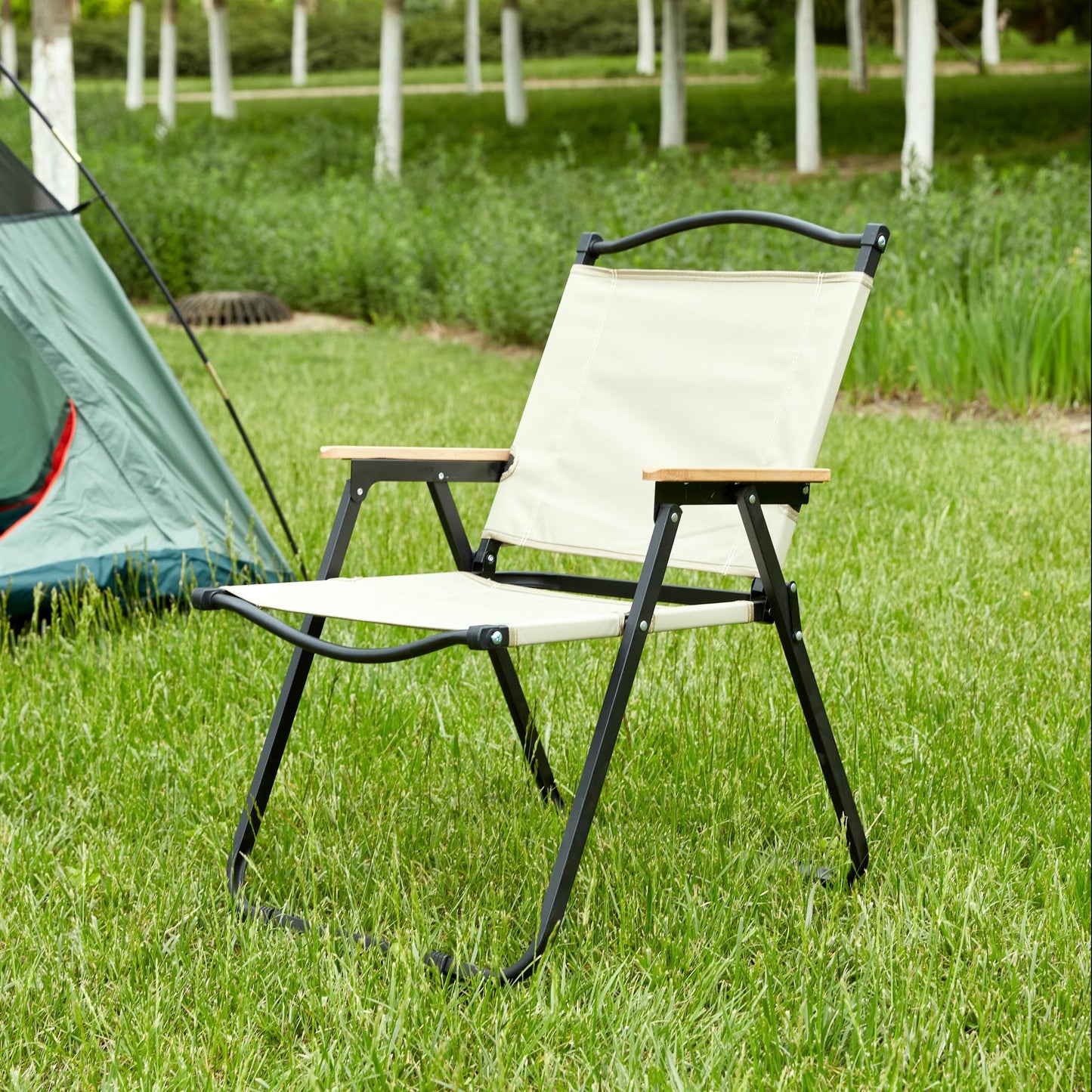 Folding Outdoor Chair For Indoor, Outdoor Camping, Picnics, Beach, Backyard, Bbq, Party, Patio Home Essentials