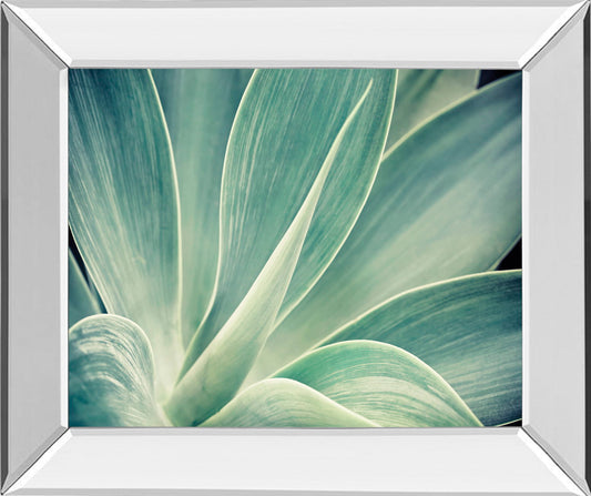 Fresnillo By Irene Suchocki - Mirror Framed Print Wall Art - Green