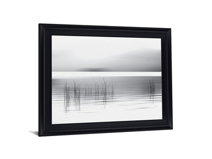 Whispering Reeds - 28" x 34" Framed Wall Art