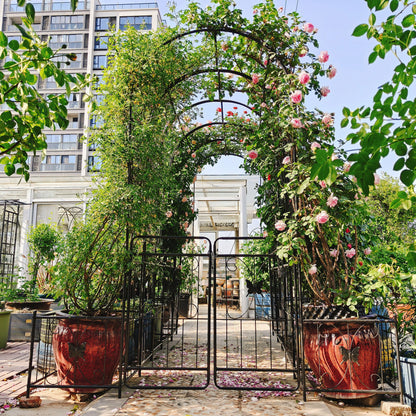 Metal Garden Arch With Gate High Climbing Plants Support Rose Arch Outdoor - Black Daily Nest