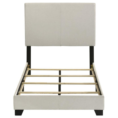 Dorian - Upholstered Panel Bed CoasterEveryday