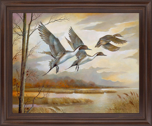 Soaring Pintails - 28" x 34" Framed Wall Art Classy Art