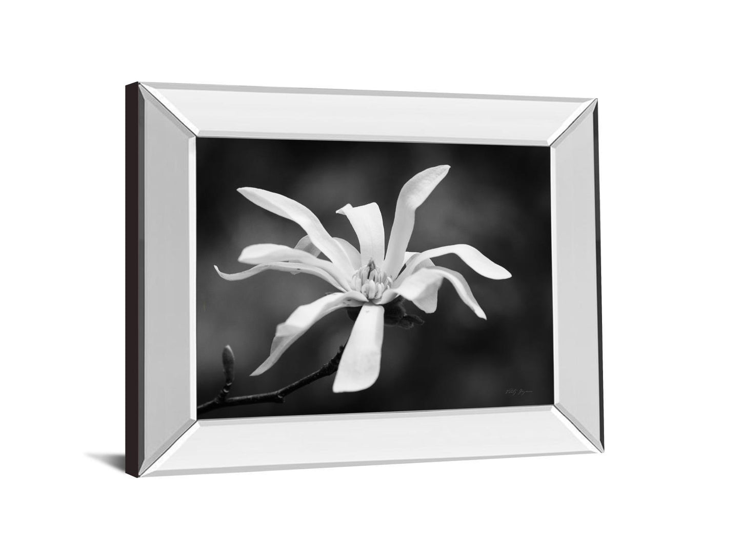 Magnolia Dreams I By Geyman Vitaly - Mirror Framed Print Wall Art - White