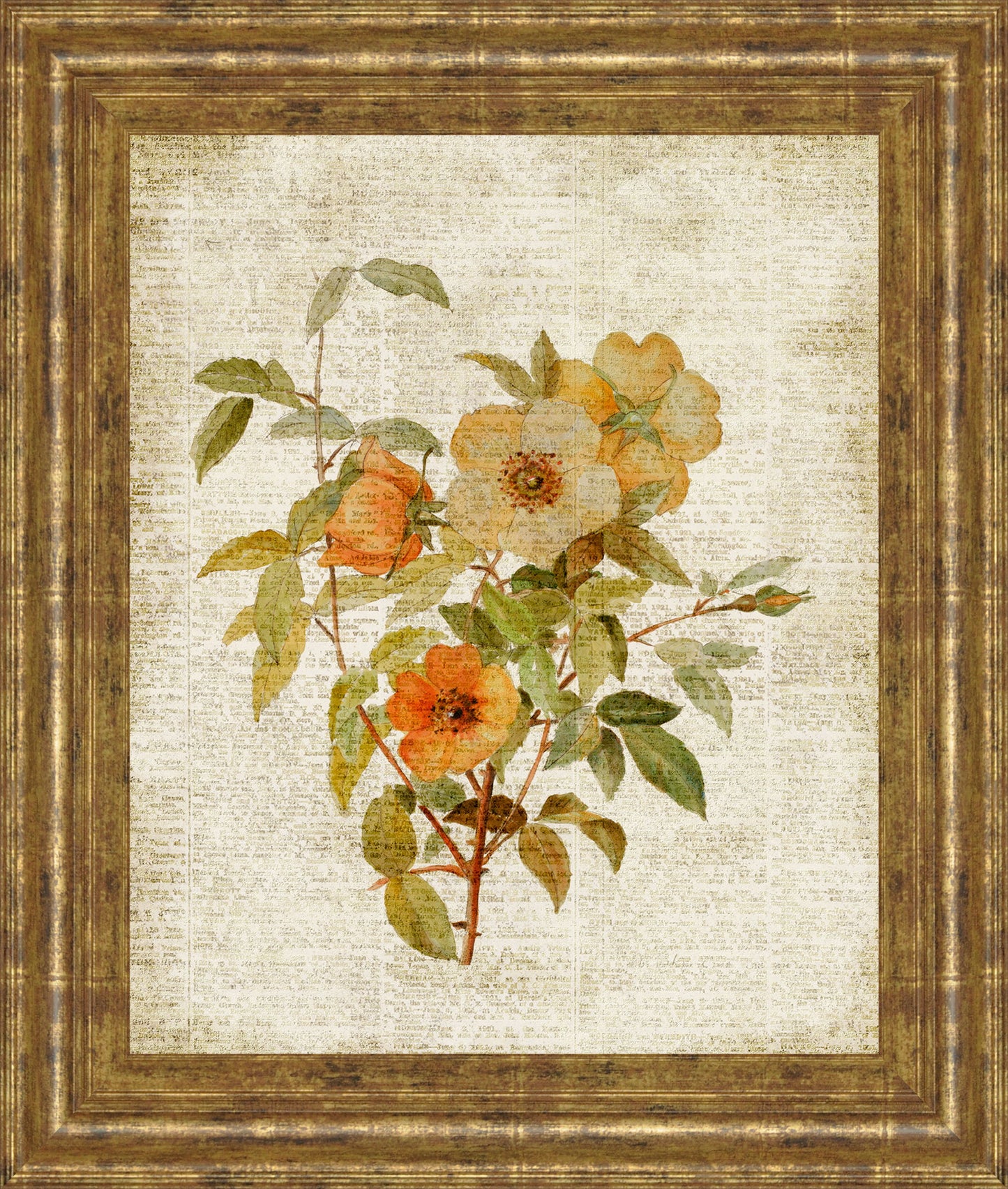 Roses On Newsprint I By Lanie Loreth - Framed Print Wall Art - Beige