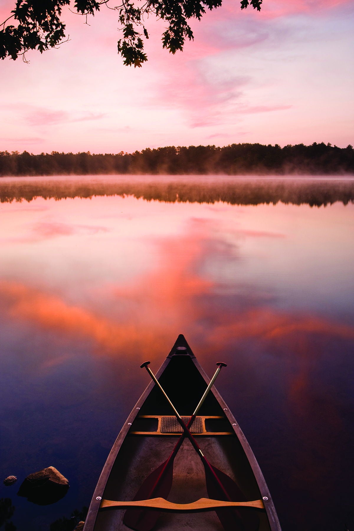 Lake At Dawn By Katrina Craven - Pink