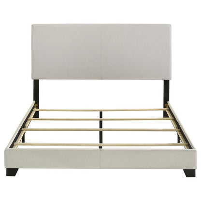 Dorian - Upholstered Panel Bed CoasterEveryday