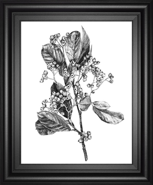 22x26 Hawthorn Berry Branch II By Emma Scarvey - Black