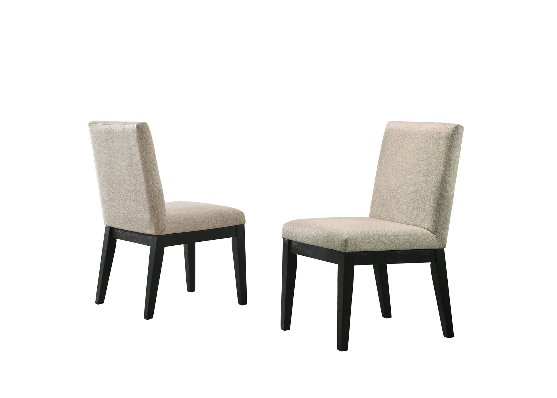 Jasper - Contemporary Fabric 19" Dining Chair (Set of 2) Lilola Home