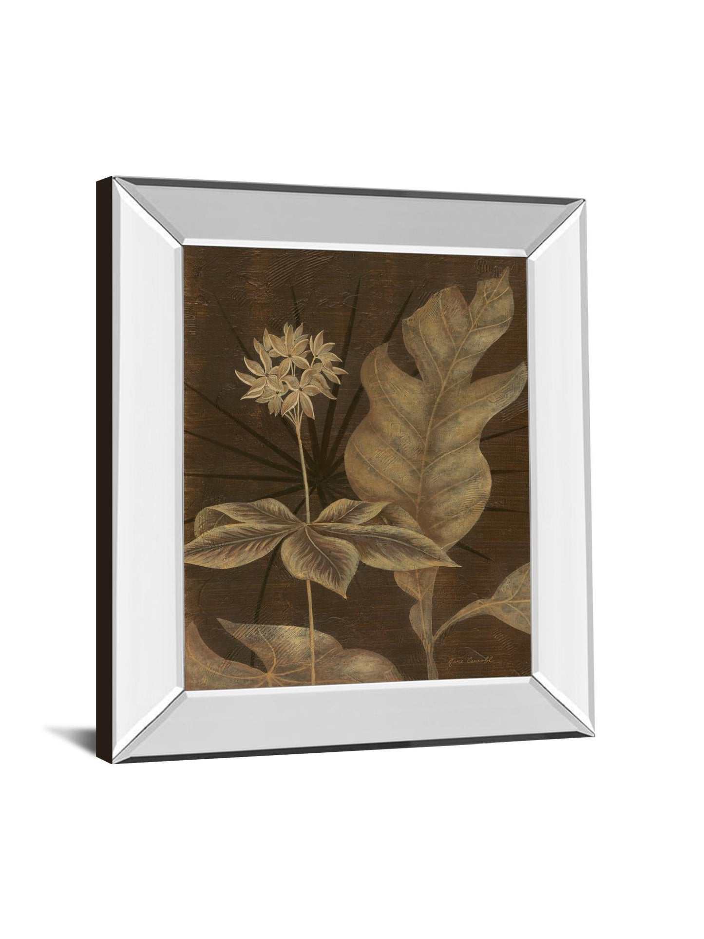 Tropical Night I By Jane Carroll - Mirror Framed Print Wall Art - Dark Brown