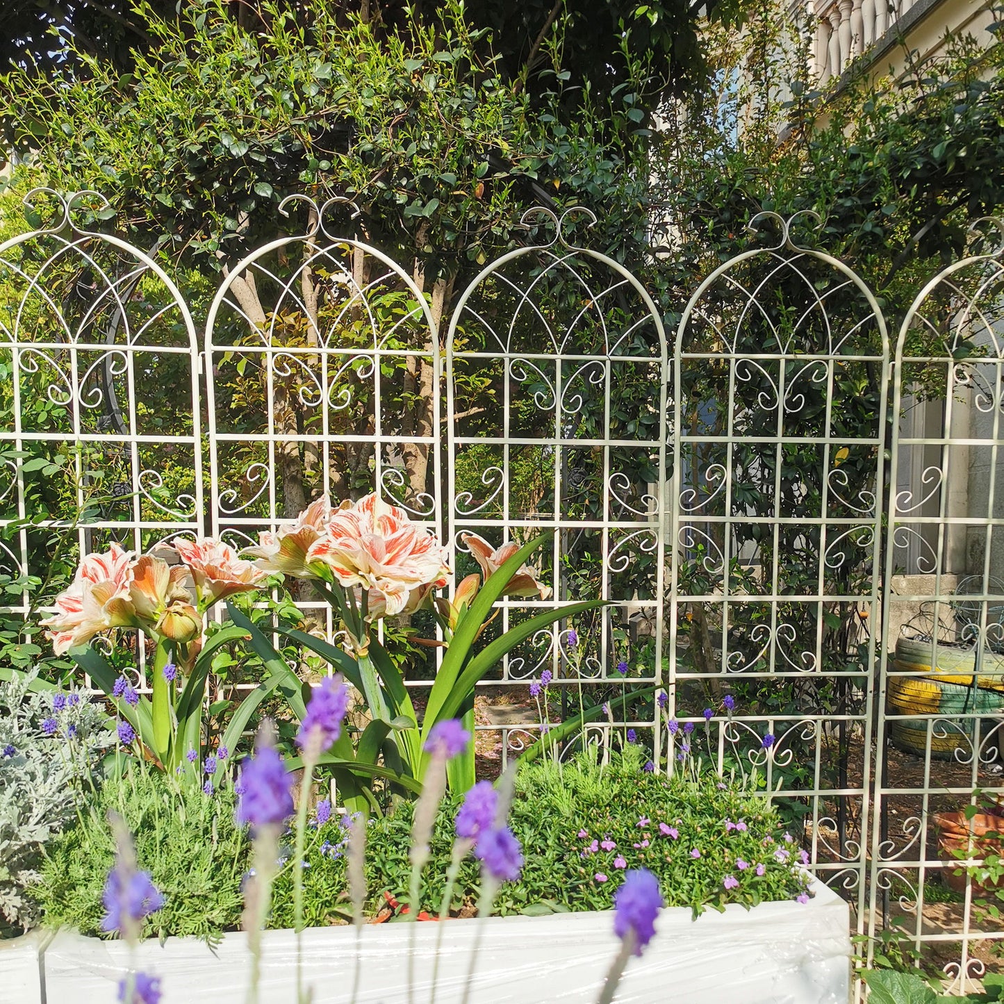 Metal Garden Rustproof Trellis For Climbing Plants Outdoor Flower Support Daily Nest