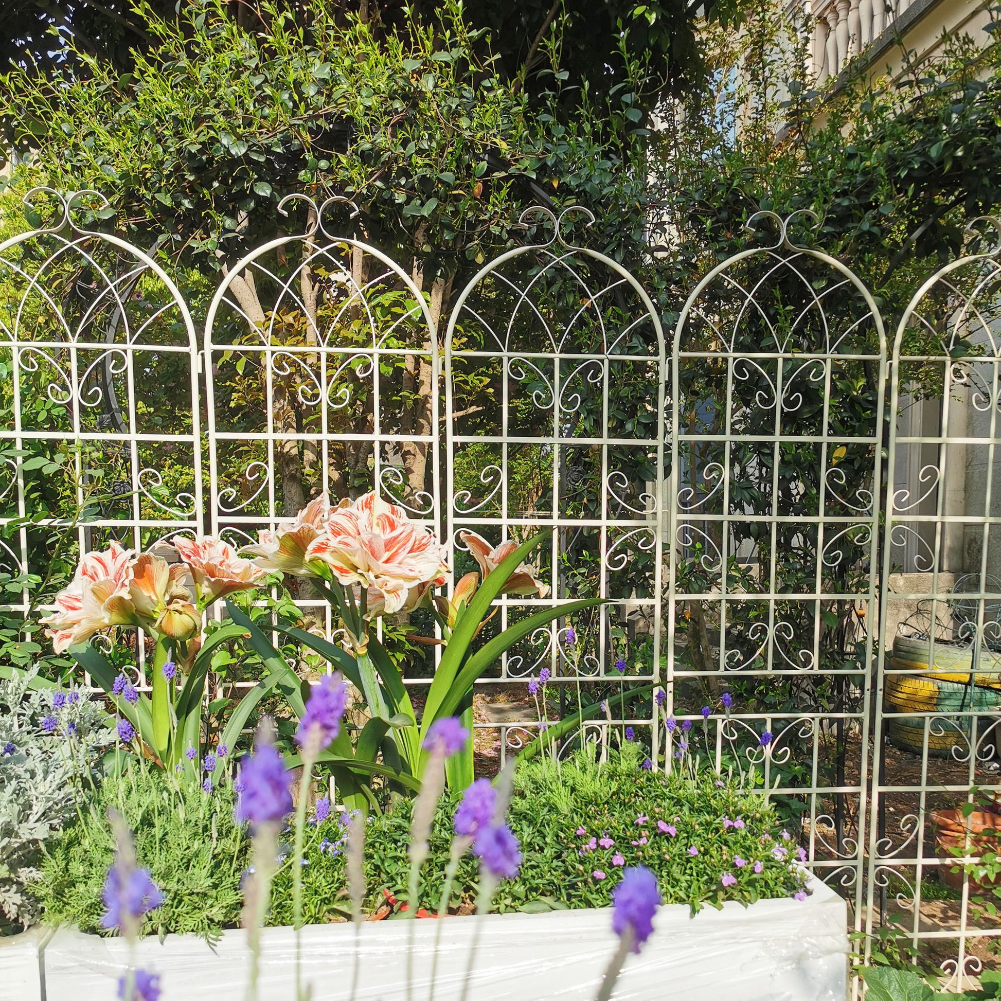 Metal Garden Rustproof Trellis For Climbing Plants Outdoor Flower Support Daily Nest