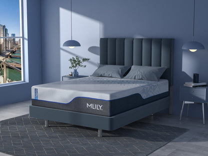 MLILY ChiroPro - 1.0 Firm Mattress MLILY