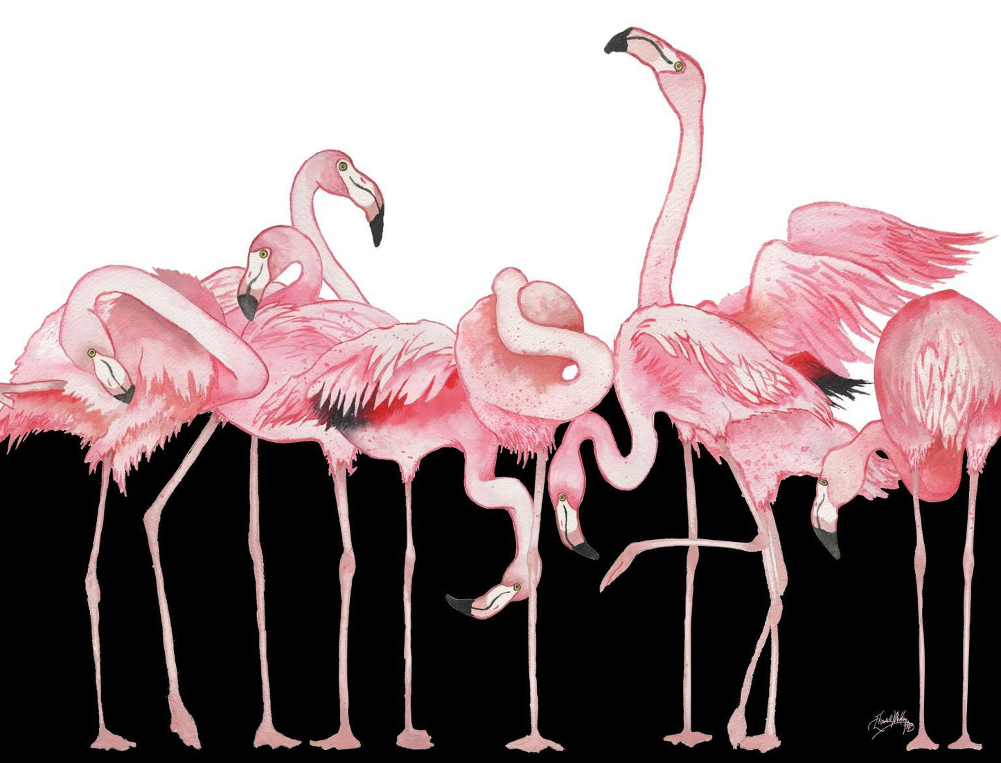 Black And White Meets Flamingos By Elizabeth Medley (Framed) (Small) - Pink