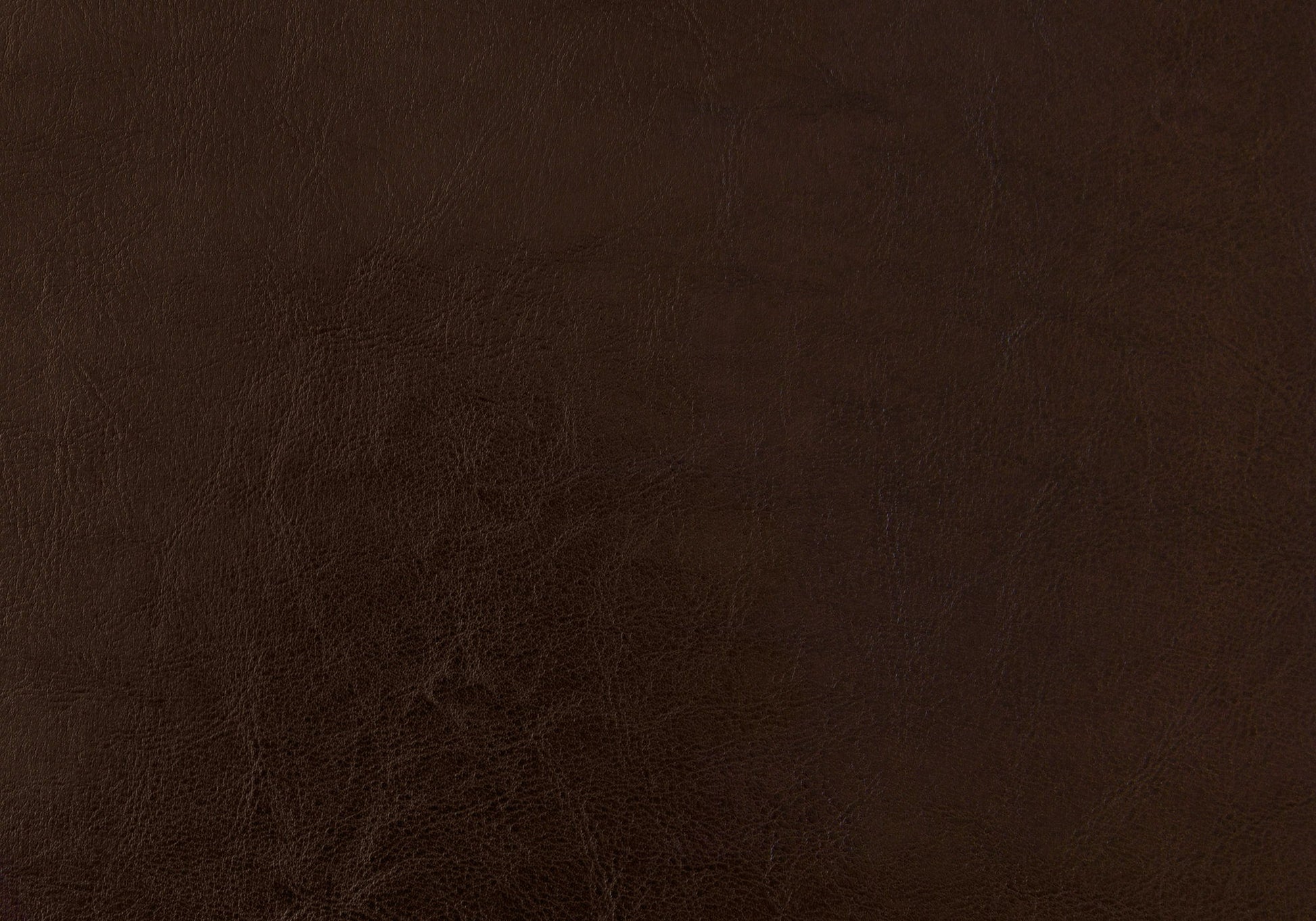 Bed, Upholstered, Transitional 8th Street