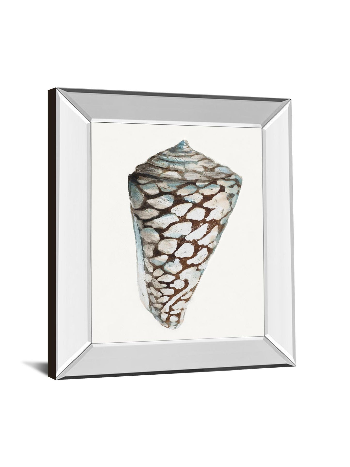 Modern Shell With Teal Il By Patricia Pinto - Mirror Framed Print Wall Art - White