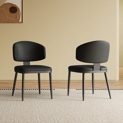 Modern Design Dining Chairs (Set of 2) - Black Home Essentials