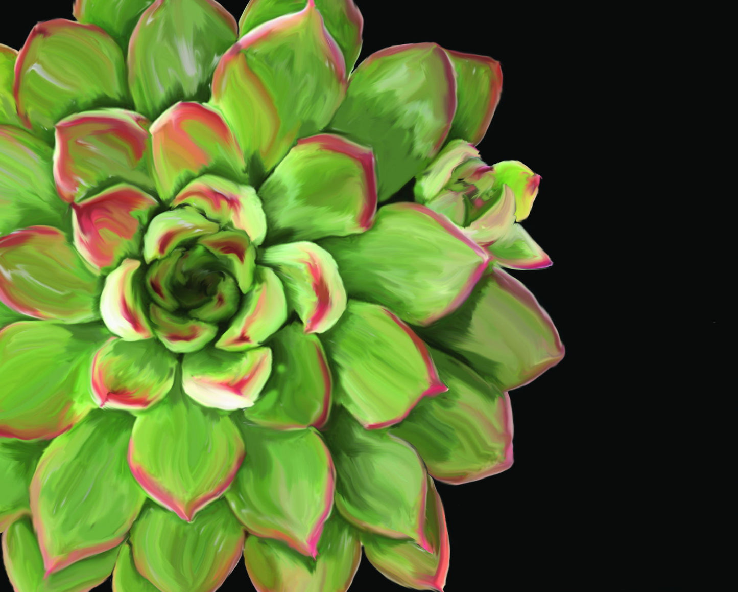 Succulent Elegans II By Jg Studios - Green