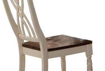 Dylan - Side Chair (Set of 2) - Cream / Oak Acme