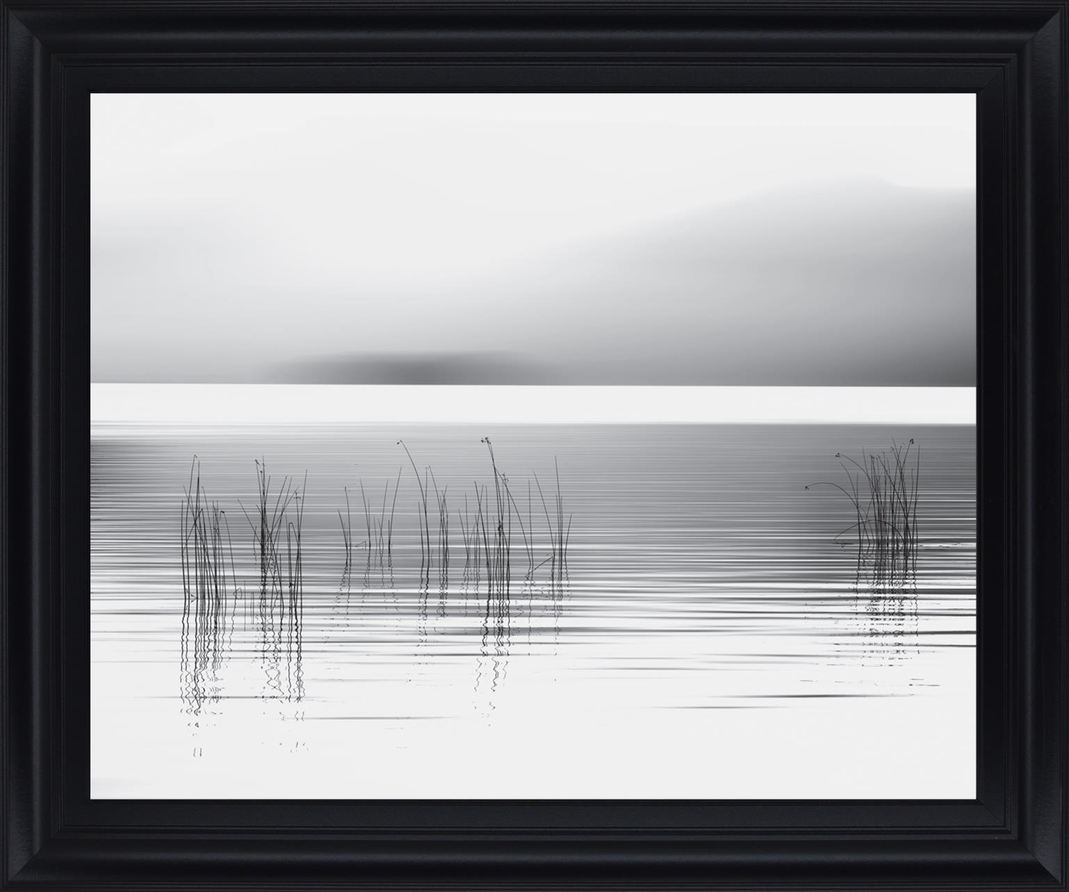 Whispering Reeds - 28" x 34" Framed Wall Art Classy Living
