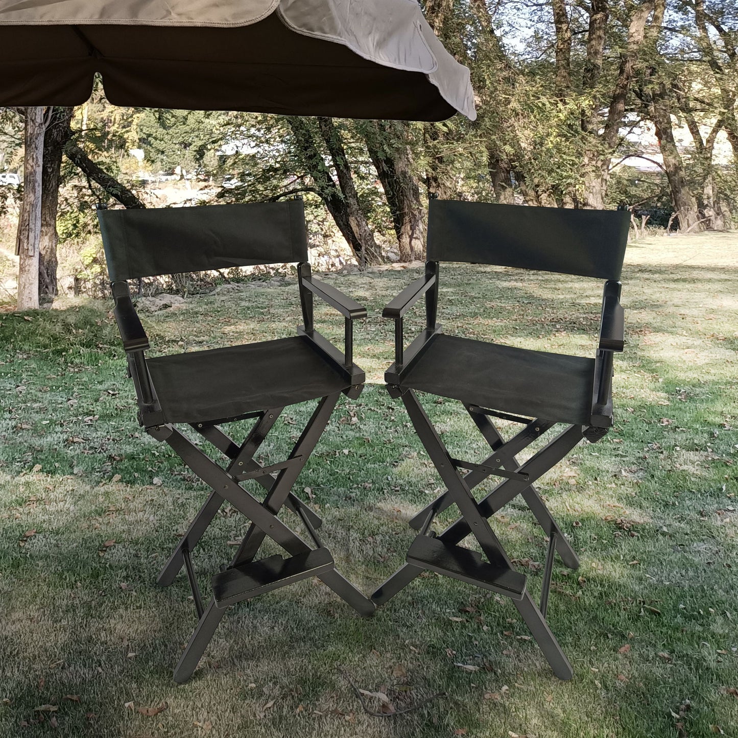 Casual Home Director's Chair, Foldable Style, Suitable For Adults (Set of 2) - Black Home Essentials