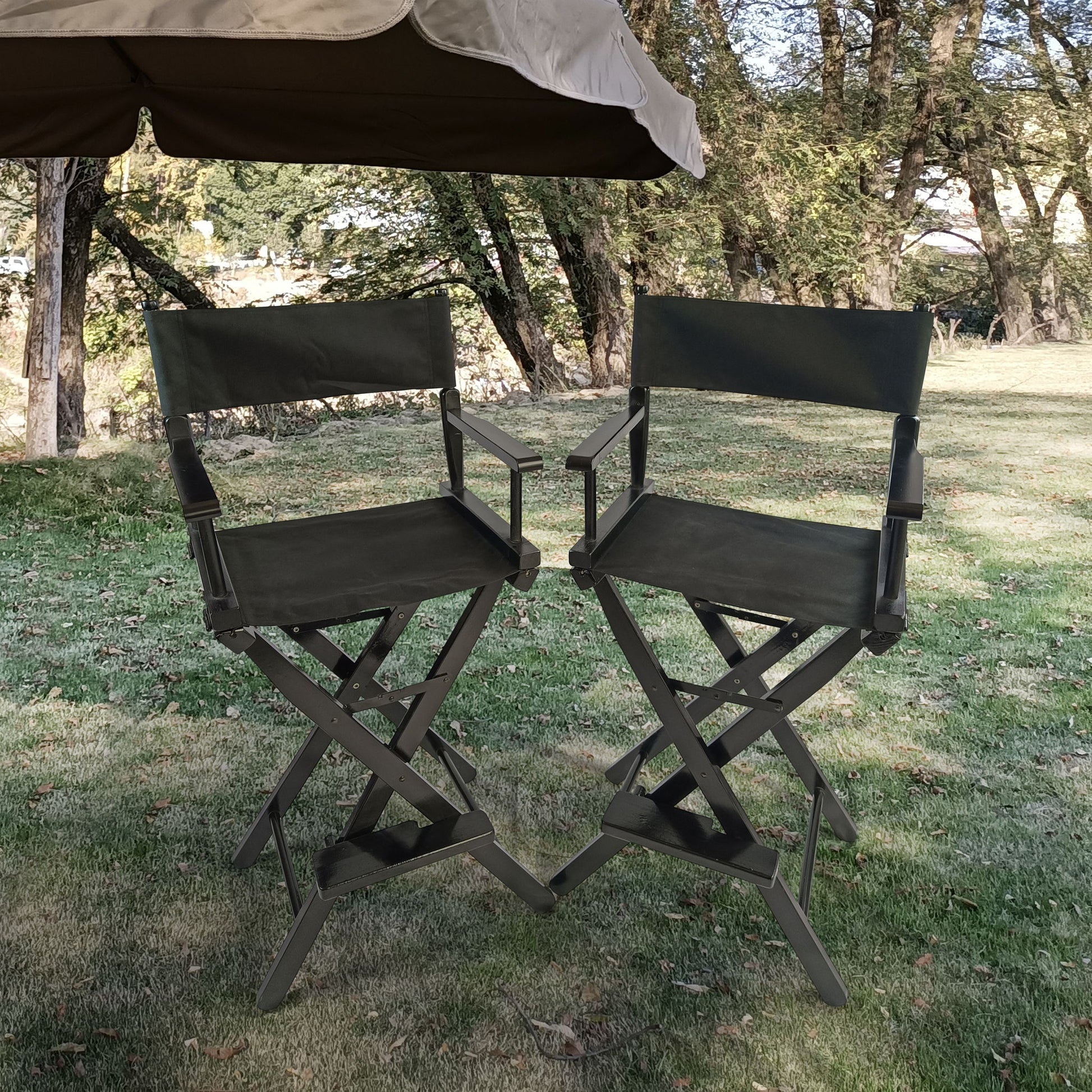 Casual Home Director's Chair, Foldable Style, Suitable For Adults (Set of 2) - Black Home Essentials