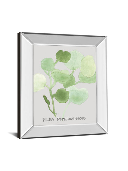 Pilea Peperomioides By Katrien Soeffers - Mirror Framed Print Wall Art - Green