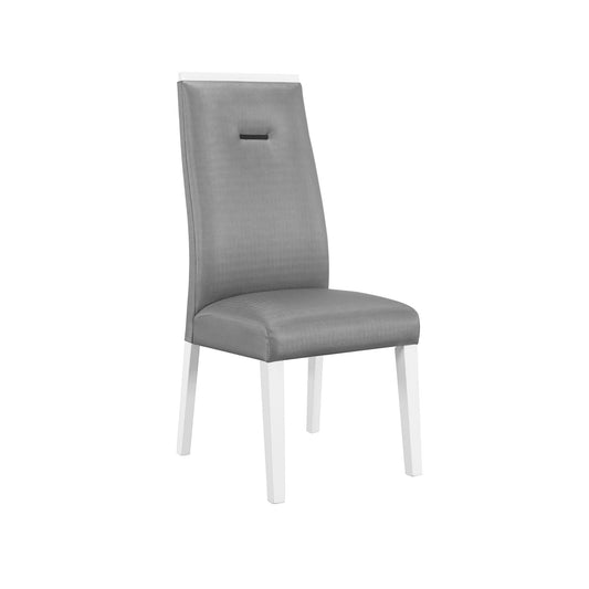 Moon - Dining Chairs (Set of 2) - Gray Global Furniture USA