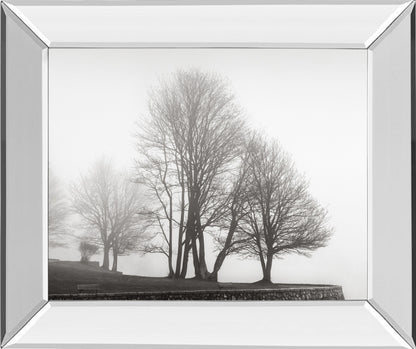 Fog And Trees At Dusk By Lsh - Mirror Framed Print Wall Art - Dark Gray