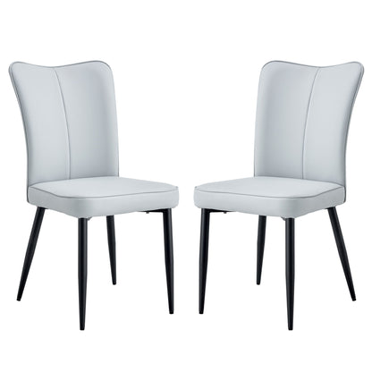 Modern Minimalist Dining Chairs (Set of 2) Home Essentials