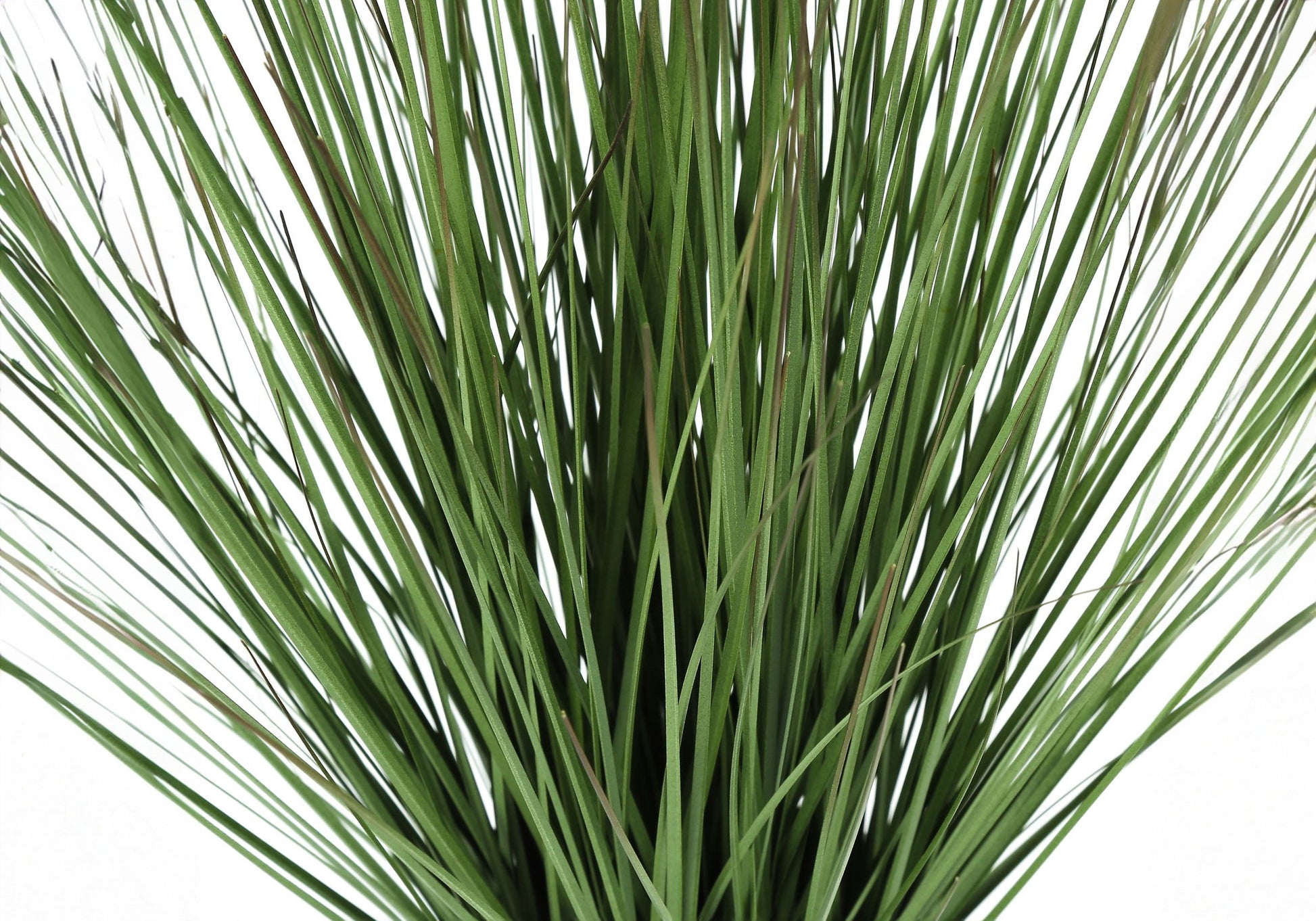 21" Tall, Artificial Plant, Grass, Indoor, Faux, Fake, Table, Greenery, Potted, Real Touch, Decorative - Green / White 8th Street