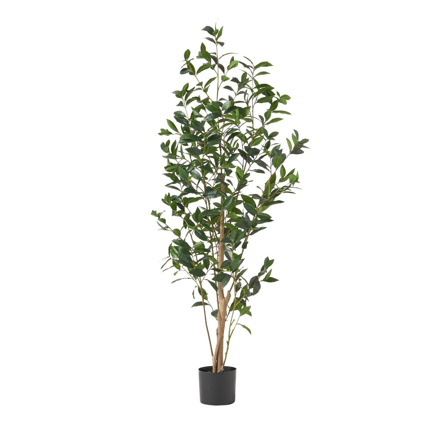 Artificial Laurel Tree Noble House