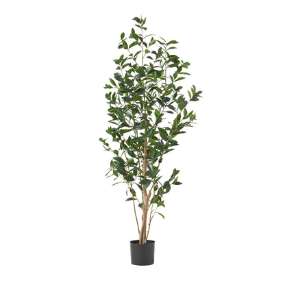 Artificial Laurel Tree Noble House