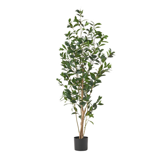 Artificial Laurel Tree Noble House
