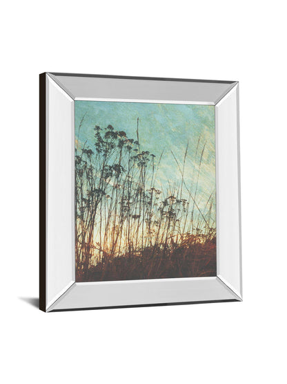 Wild Grass By Amy Melious - Mirror Framed Print Wall Art - Blue